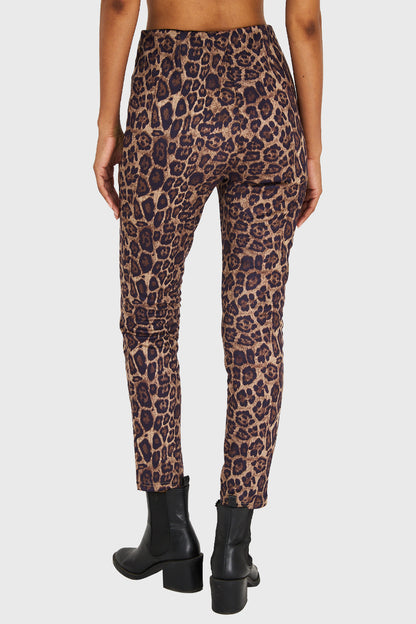 Calza Leopardo Café